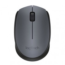 Logitech M170 Kablosuz Mouse Siyah (910-004642)