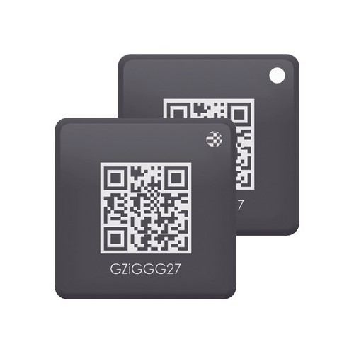 Fonri 2G DRFT01A RFID Tag X2