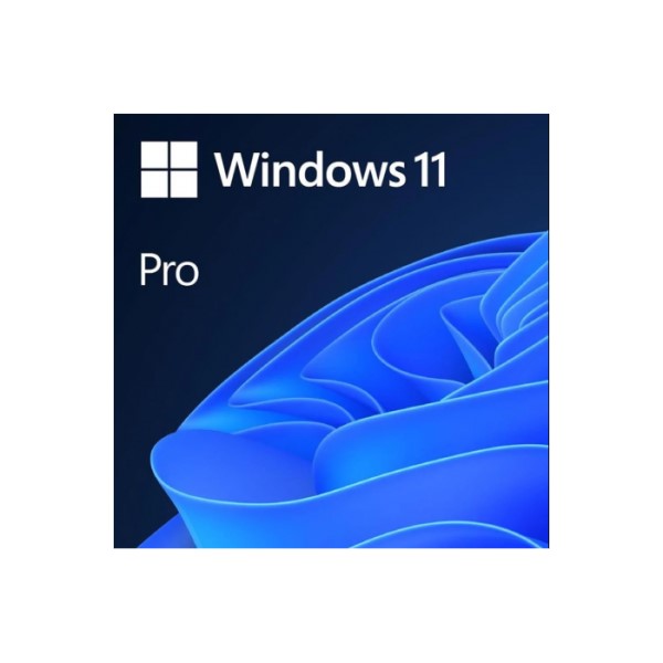 Ms Windows 11 Pro TR Kutu HAV-00159