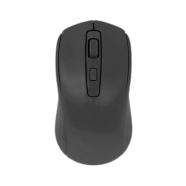 Raynox RX-M202 Kablosuz Mouse Siyah