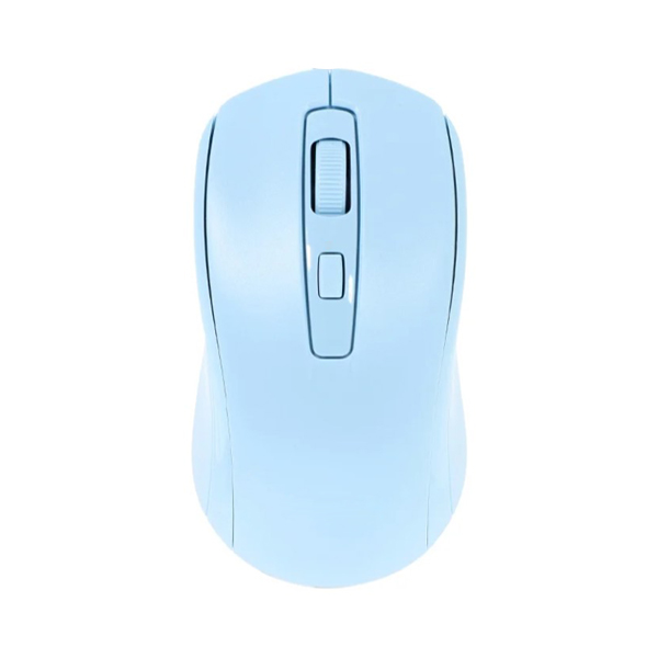 Raynox RX-M202 Kablosuz Mouse Buz Mavisi